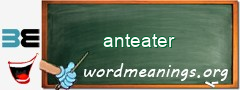 WordMeaning blackboard for anteater